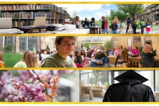 大二生活总结及感悟1000字、大二生活总结及感悟1000字左右