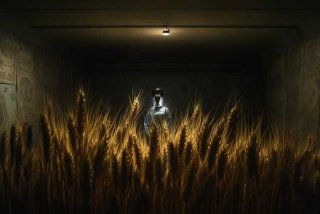 大麦的隐秘生活电影；大麦的隐秘是生活