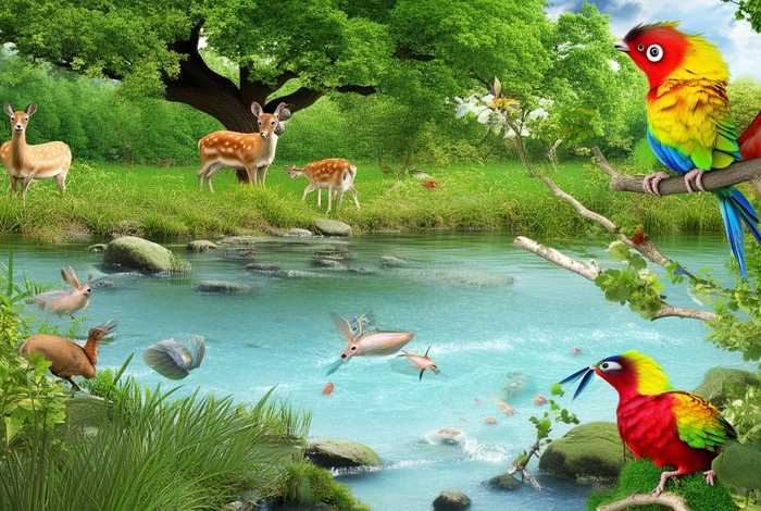 动物生活环境资料，动物生活环境资料有哪些