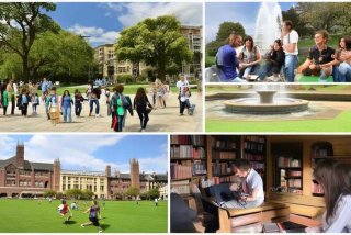 对大学生活的描述英语作文，对大学生活的描述英语作文怎么写