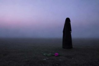 假如生活欺骗了你黎妮走了 - 假如生活欺骗了你黎妮走了是第几集