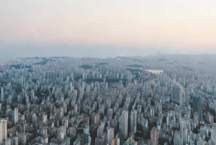 柳树的生活环境4个字形容(柳树的生活环境4个字形容句子) 柳树的生活环境4个字形容(柳树的生活环境4个字形容句子)