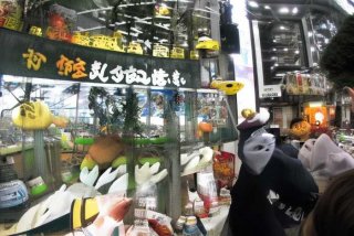 加拿大联邦自雇移民费用；加拿大联邦自雇移民费用怎么算