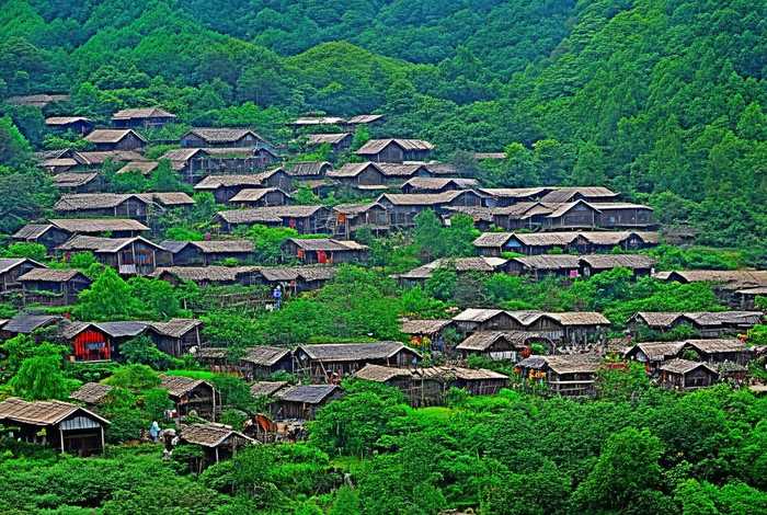 蟾蜍养殖基地在哪里;四川自贡蟾蜍养殖基地在哪里 蟾蜍养殖基地在哪里;四川自贡蟾蜍养殖基地在哪里