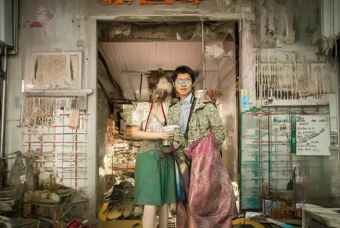 菊花的生活习性50字(菊花的生活地方) 菊花的生活习性50字(菊花的生活地方)