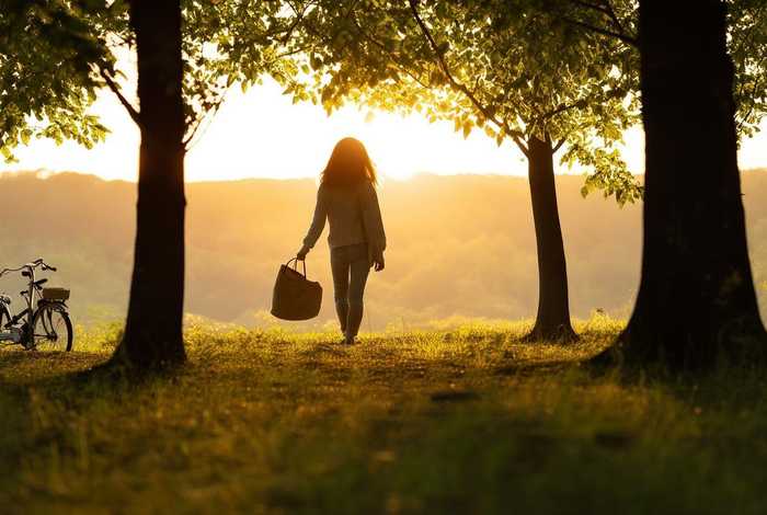 低碳生活优美句子 低碳生活优美句子简短