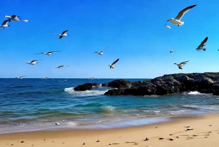海鸥生活在哪些水域;海鸥生活在哪些水域里 海鸥生活在哪些水域;海鸥生活在哪些水域里