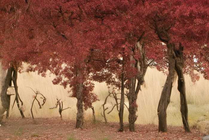 初中生活的琐记；初中生活的琐记作文