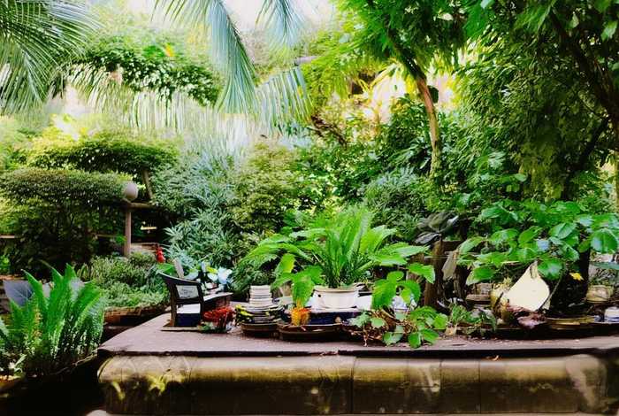 绿叶爱生活产品到底怎么样（绿叶爱生活的产品怎么样）