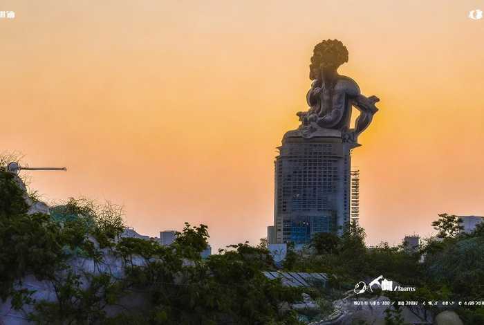 老鹰的外形习性，老鹰的外形特点描写50字