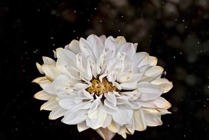 家庭生活情况简述，家庭生活情况简述30字