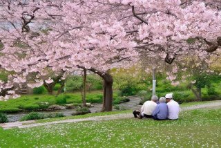 安然生活全集、安然生活全集在线观看