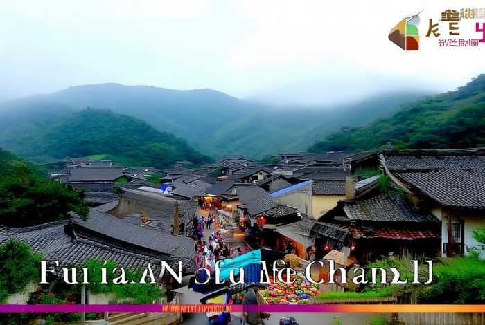 福建生活频道，福建生活频道视频回放