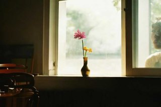 感触生活语录、感触生活语录简短