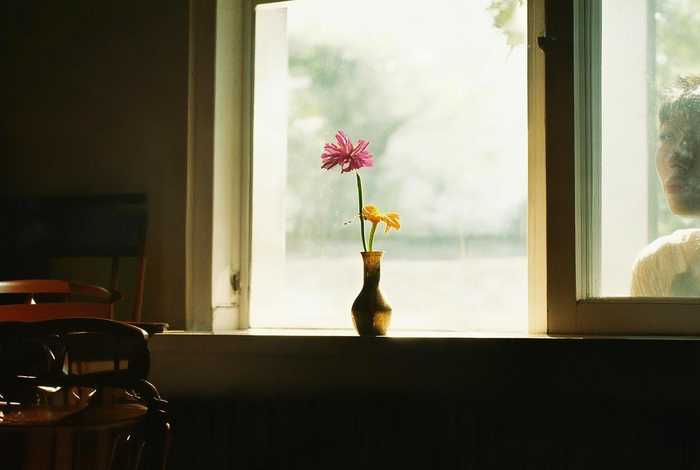 感触生活语录、感触生活语录简短