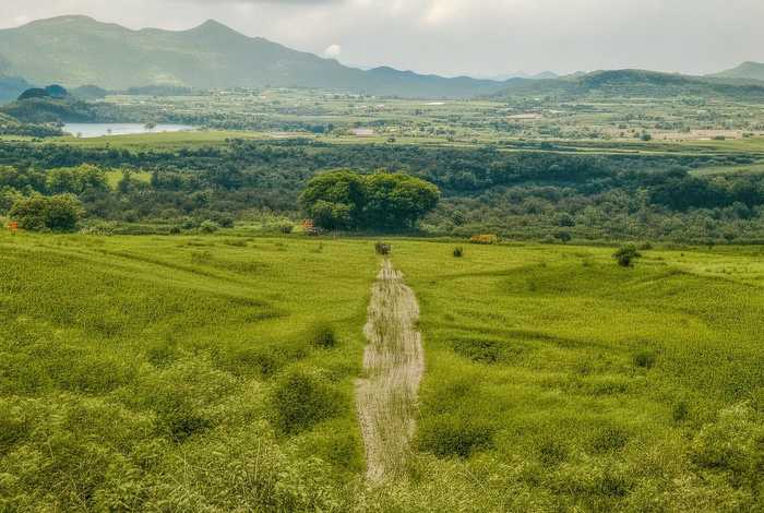 成都人的生活方式是什么,成都人的生活方式是什么样的 成都人的生活方式是什么,成都人的生活方式是什么样的