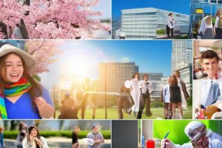 对大学生活的感悟、对大学生活的感悟一千字