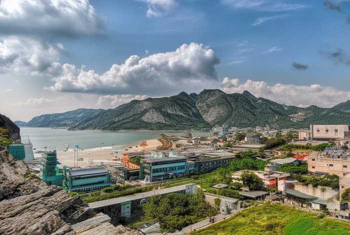 斑马的生活读后感(斑马生活在城市的读后感30字) 斑马的生活读后感(斑马生活在城市的读后感30字)