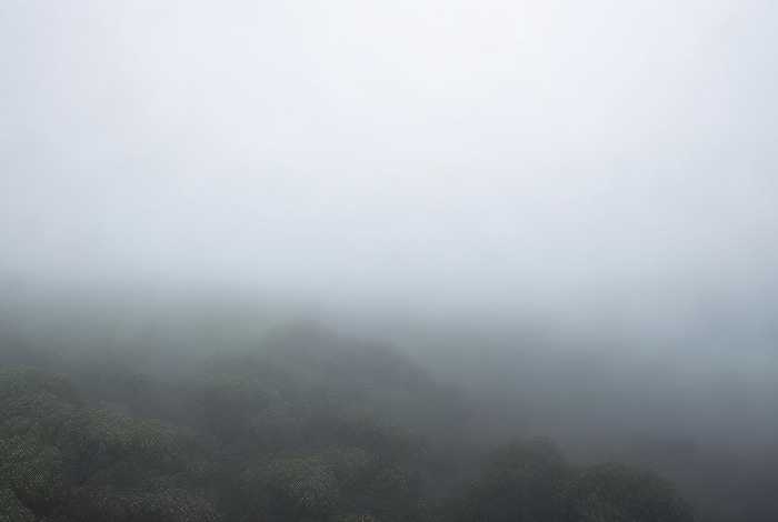 假如生活欺骗了你黎山片段（假如生活欺骗了你黎山老婆）