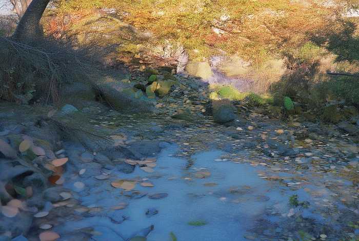 成都特殊人群低保（成都特殊人群低保政策）