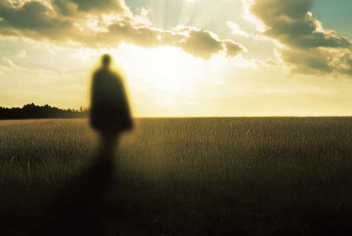 另一种灿烂生活为什么下架了（另一种灿烂生活为什么看不了）