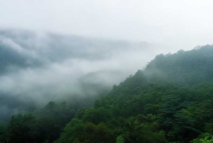 道士生活、道士生活日常