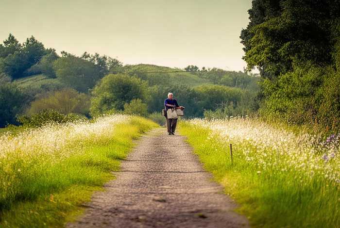 慢也是一种生活态度；慢也是一种生活态度600字