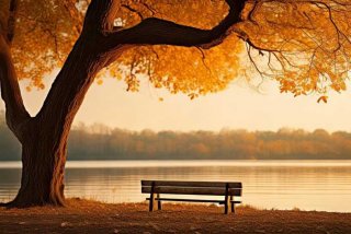 关于生活的心灵鸡汤句子、关于生活的心灵鸡汤句子图片