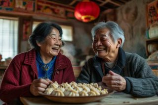 东北夫妻日常二婚（东北夫妻日常二婚视频）