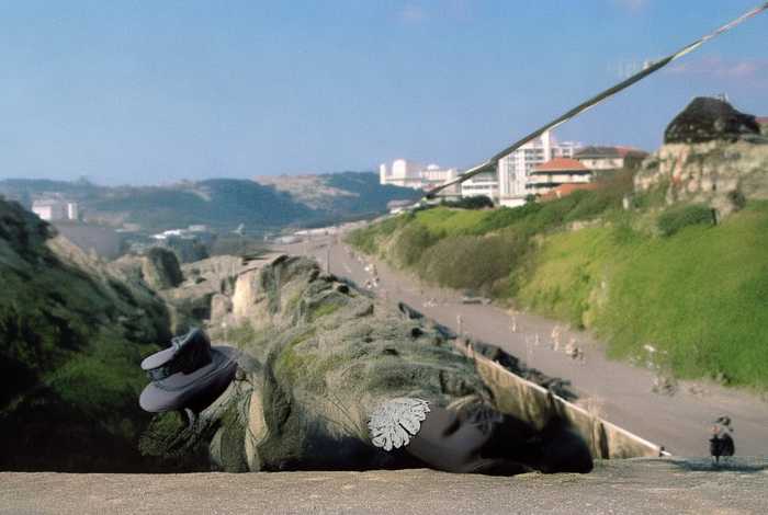 蝴蝶的生活习惯简短200字,蝴蝶的生活方式简介10个字 蝴蝶的生活习惯简短200字,蝴蝶的生活方式简介10个字