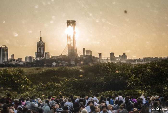 海豚生活习性20字（海豚的生活方式写一段话）