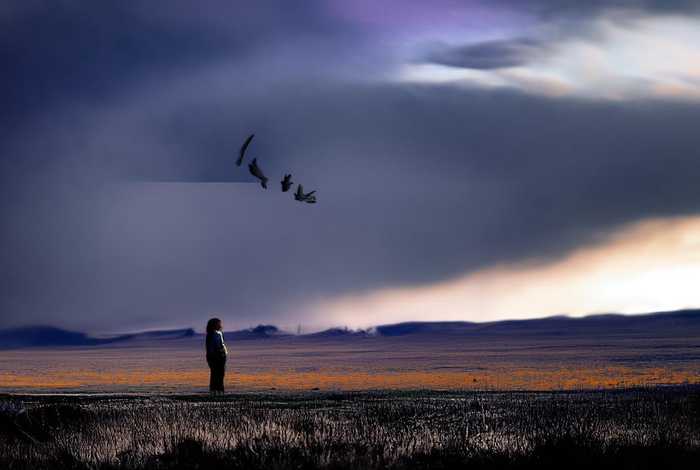 旷野的声音txt（旷野的声音原著pdf百度网盘下载）