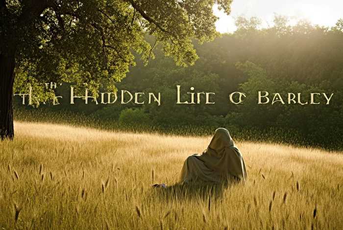 大麦的隐秘是生活，大麦的隐秘生活小说