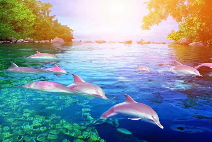 河豚生活在哪里,在河里还是海、河豚生活在哪里,在河里还是海里