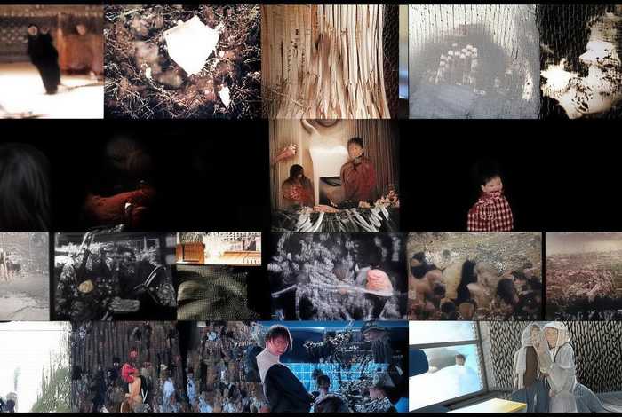 和猫的生活趣事100字（和猫的生活趣事100字作文）