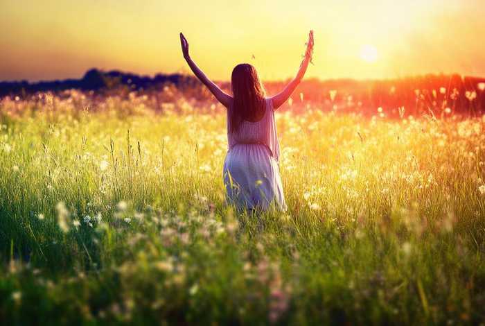 假如生活欺骗了你作者的人生态度 - 假如生活欺骗了你侧重表现作者积极向上的人生态度的是