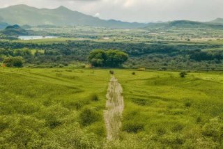 成都双楠格调生活广场、成都双楠格调生活广场菜市场在哪里