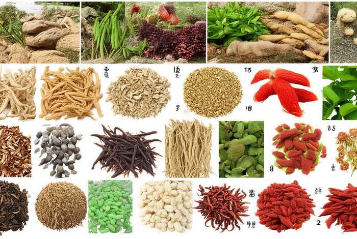 常见中草药图片大全；常见的中草药大全名字和图片