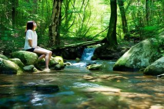 放空自然的生活日记，放空自然的生活日记400字