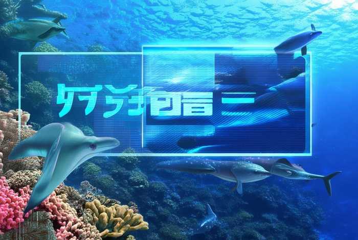 多鲸生活注册网站，多鲸生活注册网站是什么