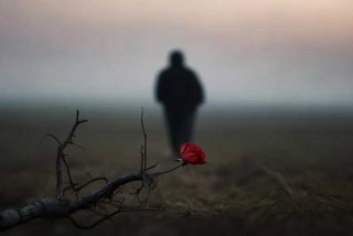 关于生活欺骗了你的诗句（关于生活欺骗了你的诗句有哪些）