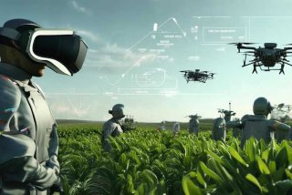 vr与农业（vr与农业结合）