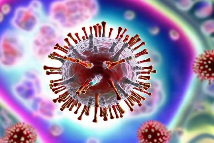 病毒是怎样生活的 病毒是怎样生活的？