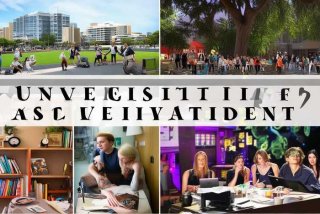 关于大学生活的问题八百字作文 - 关于大学生活的问题八百字作文英语