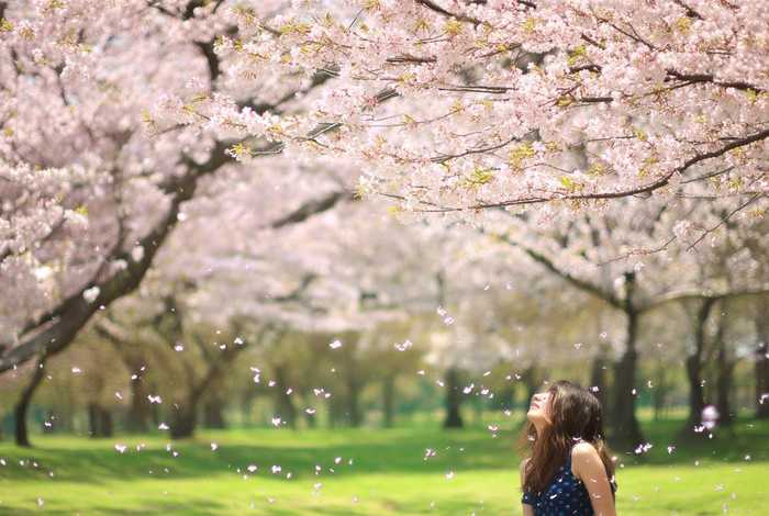 等待生活的某些时刻,能刚好站在一颗开花的树下 - 生活在妙不可言的等待中,等待着随便哪种未来