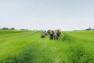 古代农家子的上进生活全文免费、古代农家的上进生活全文免费阅读