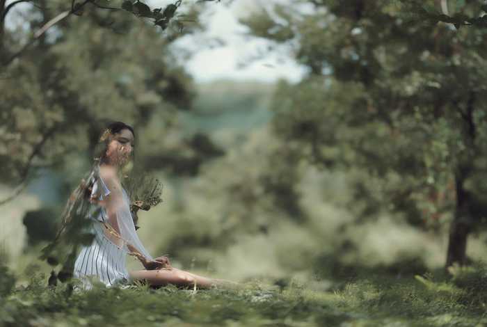 昆明生活千金不换（昆明的生活千金不换）