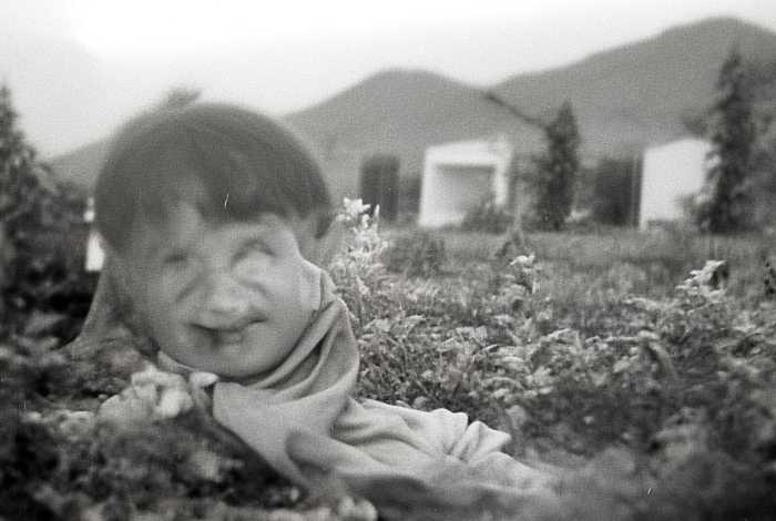 昆明生活千金不换（昆明的生活千金不换）