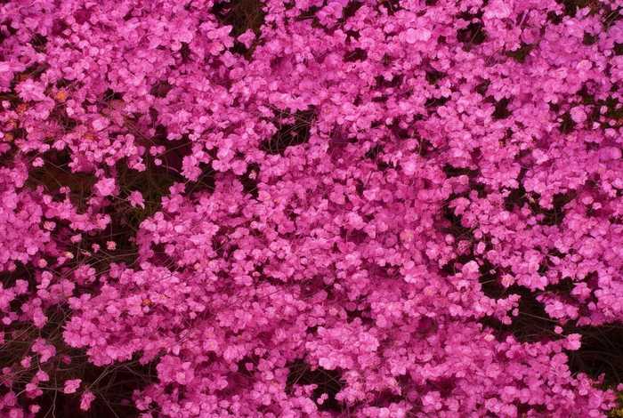 华润生活超市营业时间（华润生活超市营业时间查询）