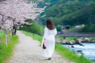 快慢生活作文800，快慢生活作文800字